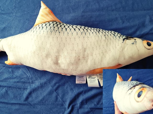 While most prefer teddy bears or other varieties of cute soft animal toys, this product tried something different. The Meradiso Fish Cushions look closer to actual fish plucked from a river and then put through taxidermy, who was this product intended for? It's unclear.