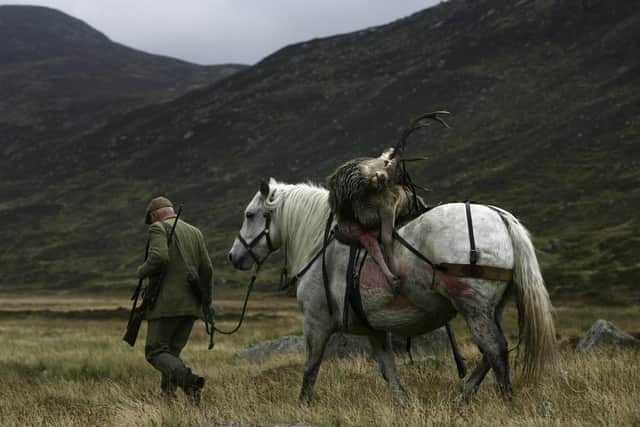 A deer stalker at work in the Highlands. Work is ongoing to ease tension and division between gamekeepers and environmentalists as land management in Scotland comes under close scrutiny. PIC: Getty.