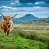 Sustainable Scotland explores the creativity and ingenuity in the Scottish farming community, against all odds