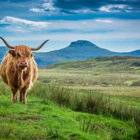 Sustainable Scotland explores the creativity and ingenuity in the Scottish farming community, against all odds