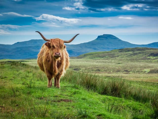 Sustainable Scotland explores the creativity and ingenuity in the Scottish farming community, against all odds