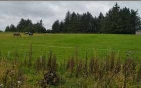 The paddock at the centre of the planning application