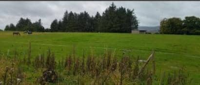 The paddock at the centre of the planning application