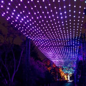 Aurora, this year's dazzling Christmas At The Botanics showstopper, is an overhead installation which celebrates the stunning Northern Lights.