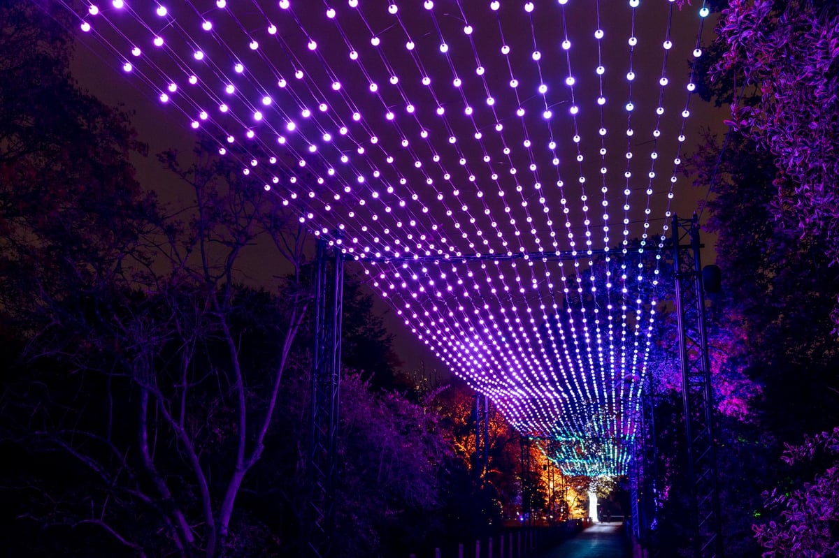 FIRST LOOK Christmas At The Botanics 2022 dazzles with Northern Lights