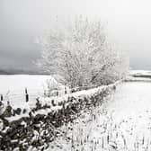 The cold snap has affected a number of areas across the UK.