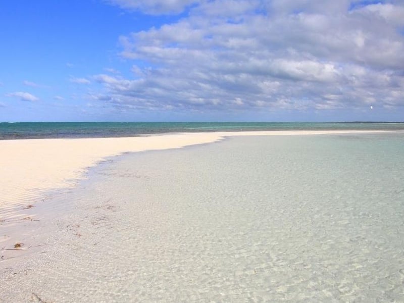 Scotland or Caribbean?