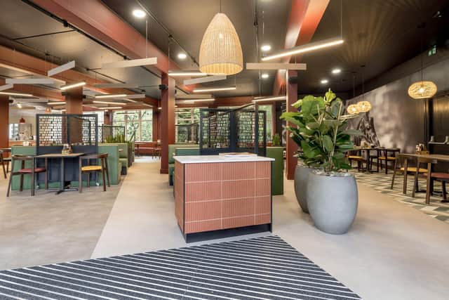 A view of the transformed interior of the Grasslands Café space at Edinburgh Zoo. Picture: Alan Rennie Photography