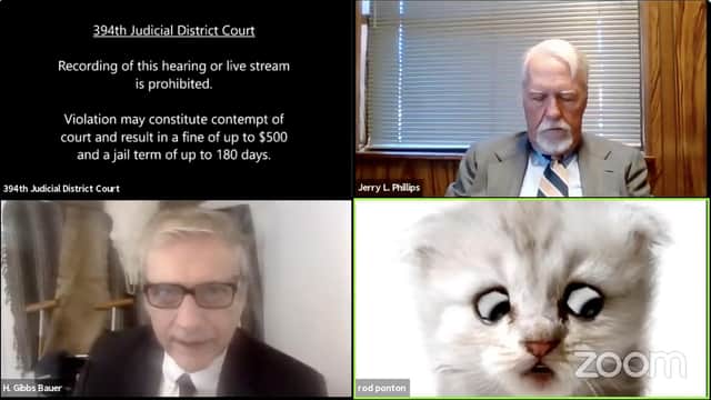Texas lawyer Rod Ponton appears as a cat during a virtual hearing of the 394th District Court of Texas (Picture: 394th District Court of Texas/AFP via Getty Images)