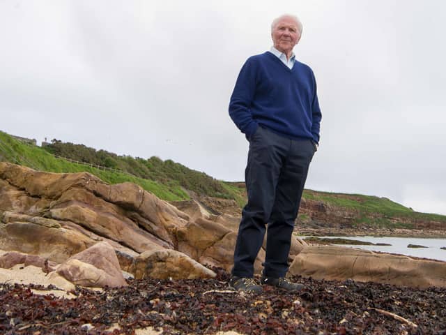David Holmes looks on from his now home town of Crail in Fife.