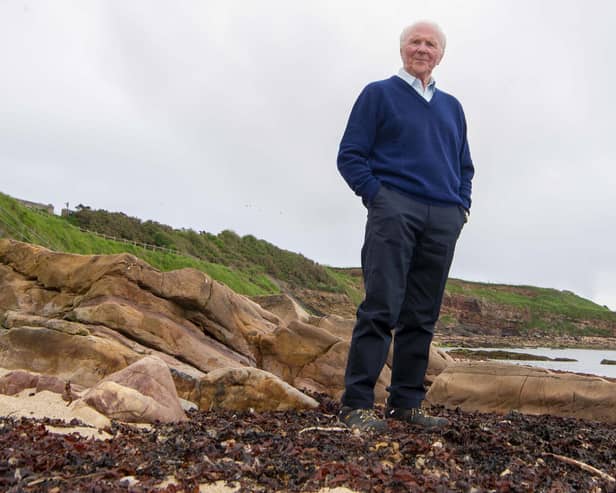 David Holmes looks on from his now home town of Crail in Fife.