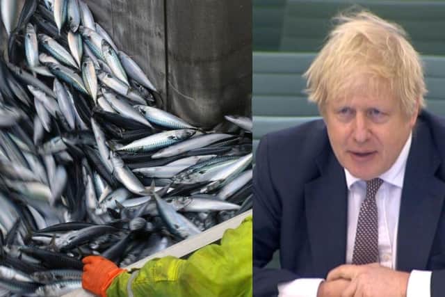 Boris Johnson says he backs fisheries minister Victoria Prentis after she said she didn't read through the post- Brexit trade deal due to festive commitments.