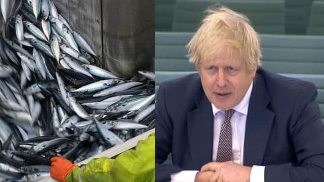 Boris Johnson says he backs fisheries minister Victoria Prentis after she said she didn't read through the post- Brexit trade deal due to festive commitments.