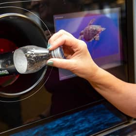A craft brewery in England has begun labelling its beer “not for sale in Scotland” amid fears it could be hit with a “hefty” fine under the deposit return scheme (DRS).