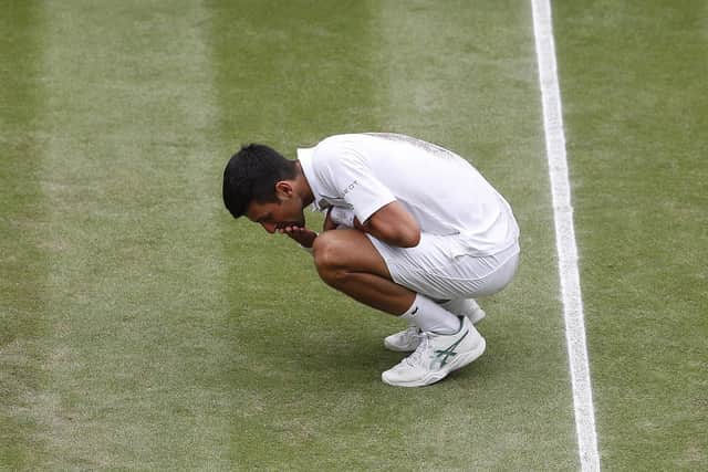 Twenty Slams at last - Novak Djokovic tries to take it all in