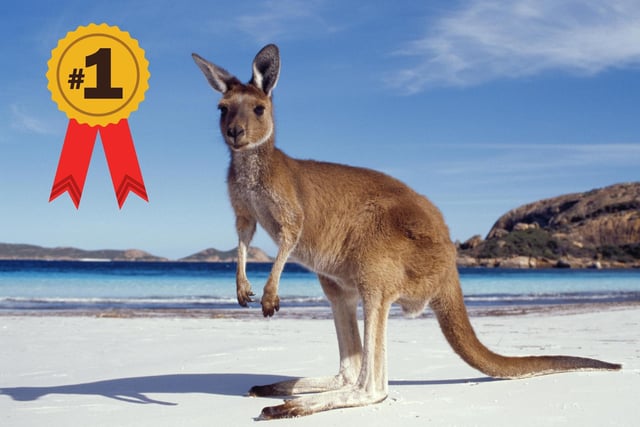 The Australian Government's website (https://fairwork.gov.au/) reveals that as of July 1, 2022, the national minimum wage is $21.38 per hour.