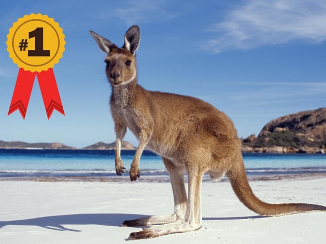 The Australian Government's website (https://fairwork.gov.au/) reveals that as of July 1, 2022, the national minimum wage is $21.38 per hour.