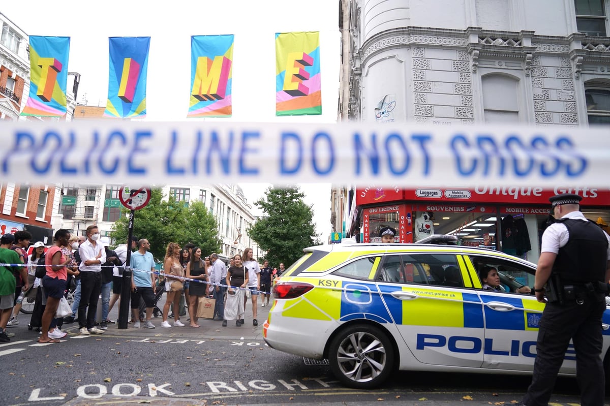 Two police officers in hospital after being stabbed following attack in central London