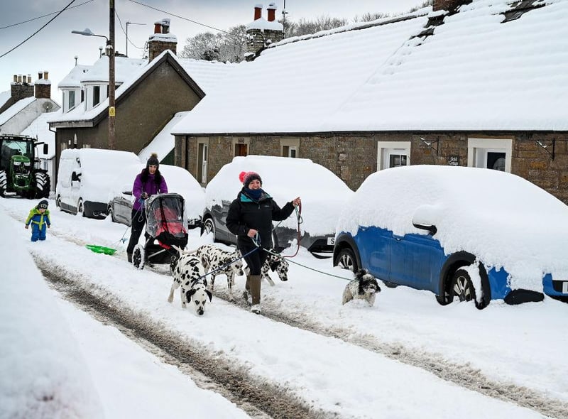 Members of the public can be seen taking their dogs for a walk in the deep snow in Dunning, Scotland.