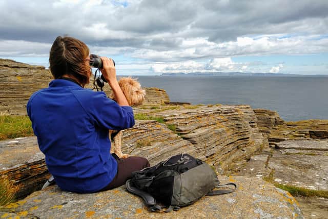 A volunteer observer scans the seas from a dramatic vantage point at Scrabster during last year's National Whale and Dolphin Watch event