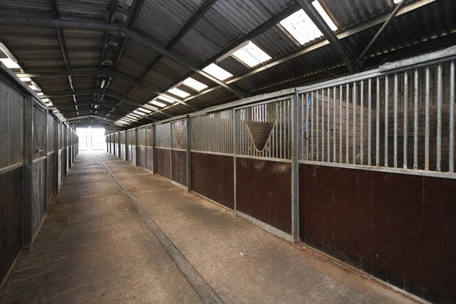 Part of the interior area of the Belstane Racing Stables, described as an 'outstanding equestrian property'.