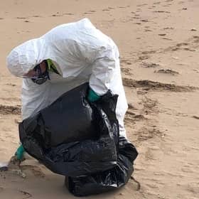 The council's Landscape Services staff are continuing to remove dead seabirds suspected of carrying Avian Influenza from our shorelines.