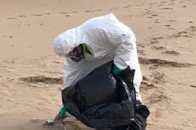 The council's Landscape Services staff are continuing to remove dead seabirds suspected of carrying Avian Influenza from our shorelines.