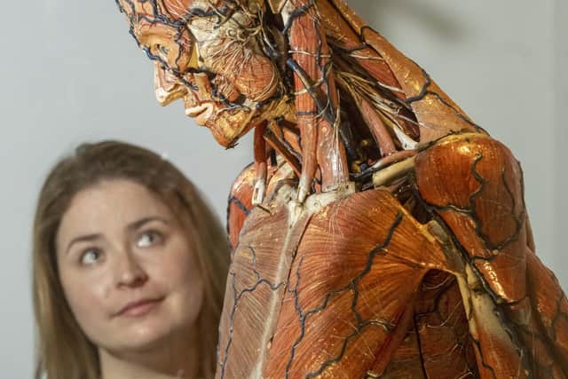 Curator Sopie Goggins with a model used by French anatomist Louis Auzoux. Picture: Neil Hanna