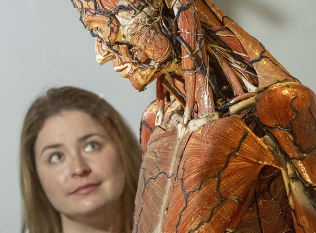 Curator Sopie Goggins with a model used by French anatomist Louis Auzoux. Picture: Neil Hanna
