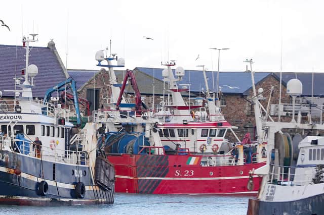 The effect of Brexit on the fishing industry may be a sign of trouble to come for the wider economy (Picture: Niall Carson/PA)
