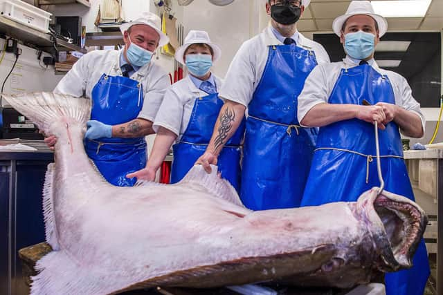 PIC LISA FERGUSON 14/09/2021


Gary Huckle, armstrong's fishmonger, stockbridge


130kilo halibut caught by the Aquarius off the west coast. Be on display in the shop from Tuesday am

l-r GARY HUCKLE, LYN BRYCE, DAVID SHAND, ZOLTAN ANTAL