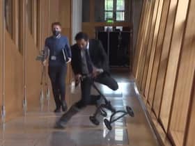 Health secretary Humza Yousaf takes a tumble in the Scottish Parliament. Picture: Contributed
