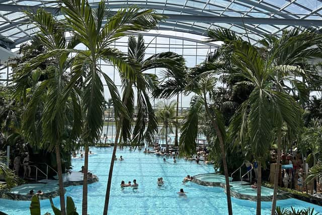 The Palm at Therme Bucharest, and one of its various 30C pools. Pic: Sophie GoodallPA.
