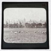 Royal Infirmary of Edinburgh from the Meadows, where sheep once grazed. PIC: George Washington Wilson Museums.