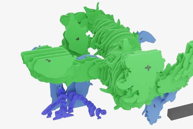 A 3D fossil reconstruction