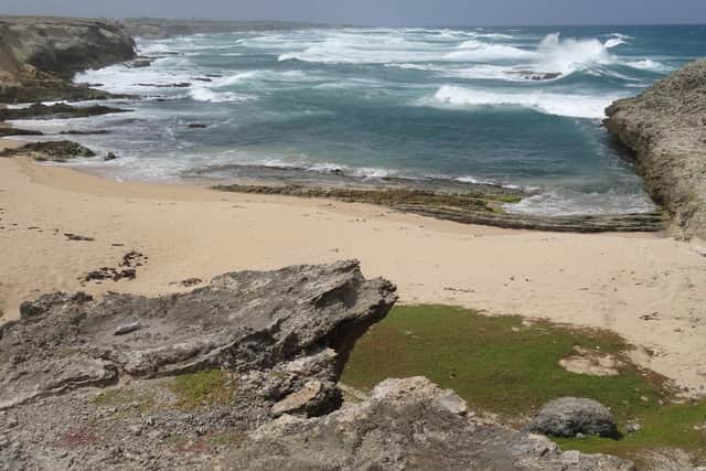 Little Bay in the parish of St Lucy, a barren landscape of coral limestone and boisterous blowholes.