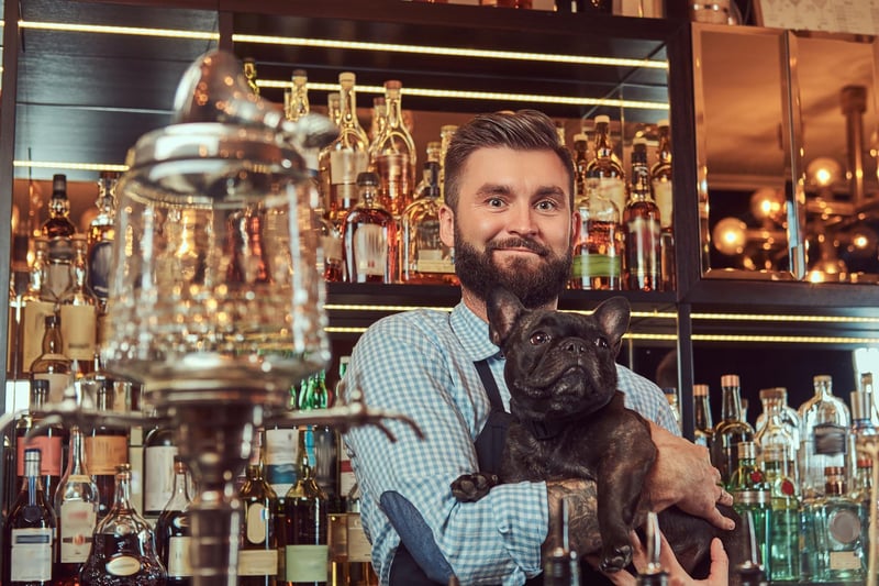Many small dogs can get nervous, vocal and energetic in busy environments like pubs - particularly if other dogs are added to the mix. One exception is the Pug, which is small enough to fit into the most packed establishment, rarely barks and is very relaxed in company.