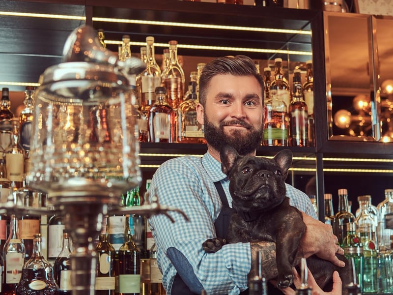 Many small dogs can get nervous, vocal and energetic in busy environments like pubs - particularly if other dogs are added to the mix. One exception is the Pug, which is small enough to fit into the most packed establishment, rarely barks and is very relaxed in company.