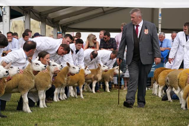 Texel sheep in the judging ring at the Royal Highland Show in Ingliston.Picture: Andrew Milligan/PA Wire