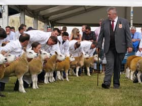Texel sheep in the judging ring at the Royal Highland Show in Ingliston.Picture: Andrew Milligan/PA Wire