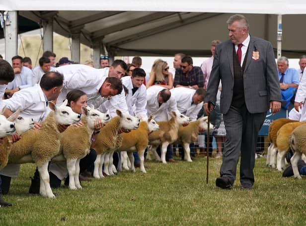 Texel sheep in the judging ring at the Royal Highland Show in Ingliston.Picture: Andrew Milligan/PA Wire