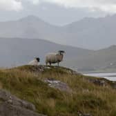Chan eileas idir ag aithneachadh cho cudromach ‘s tha na tuathanaich beinne is croitearan