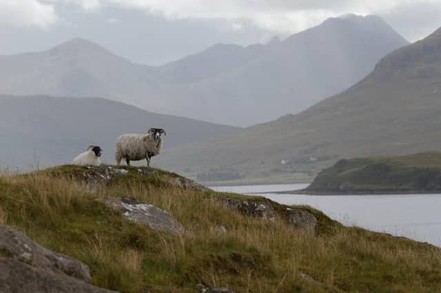 Chan eileas idir ag aithneachadh cho cudromach ‘s tha na tuathanaich beinne is croitearan