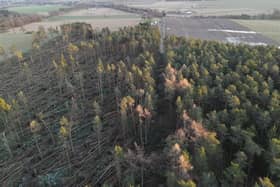 Storm Arwen, one of the most severe storms ever to hit the UK, left a trail of destruction across Scotland -- this forest in Aberdeenshire was one of those which suffered extensive damage