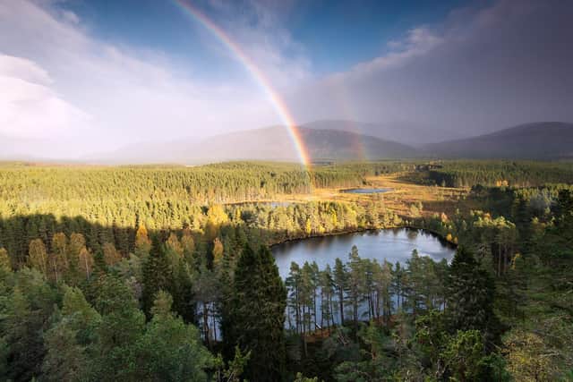The Cairngorms National Park is expected to see an increase in visitors as travel restrictions ease.