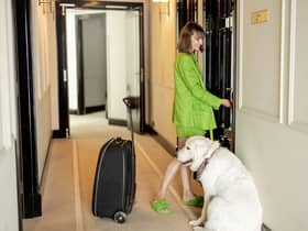 Growing numbers of hotels are now welcoming four-legged friends as standard - or for a small extra charge to cover cleaning.