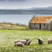 The agriculture sector is responsible for the third-largest share of Scotland's total climate emissions