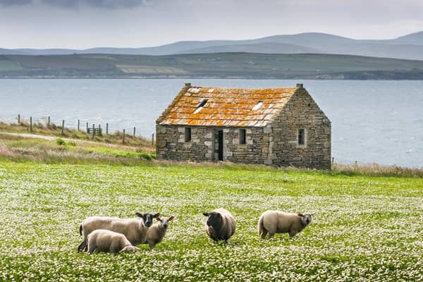 The agriculture sector is responsible for the third-largest share of Scotland's total climate emissions
