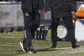 Hibernian interim coach David Gray.