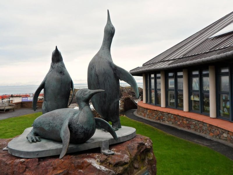 The Scottish Seabird Centre defines itself as “a conservation and education charity with a 5-star visitor centre, in the beautiful coastal town of North Berwick.” Their selection includes puffins, guillemots, razorbills, fulmars, kittiwakes and shags.